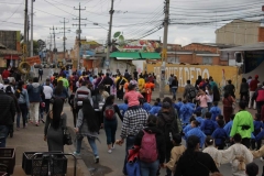 IMG_1517