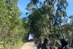 Caminata ecológica/ La cabaña de la montaña
