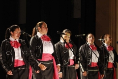 _MG_0559