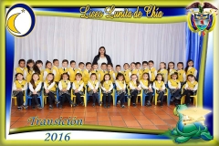 TRANSICION