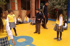 IMG_20180222_113949656_TOP