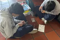 17