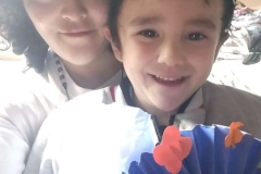 29