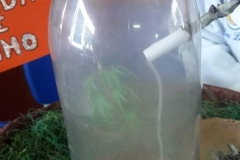 IMG-20180616-WA0028