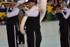 79