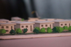 IMG_2278