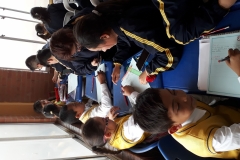 IMG-20190319-WA0067