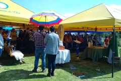 IMG-20190217-WA0013