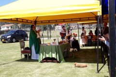 IMG-20190217-WA0019