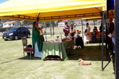 IMG-20190217-WA0020