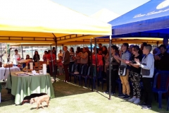 IMG-20190217-WA0024