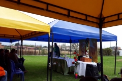 IMG-20190303-WA0030