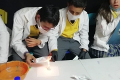 IMG-20190215-WA0080