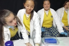 IMG-20190215-WA0087