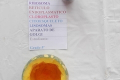IMG-20190220-WA0006