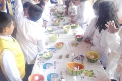 IMG-20190220-WA0013