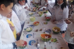 IMG-20190220-WA0014