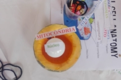 IMG-20190220-WA0016