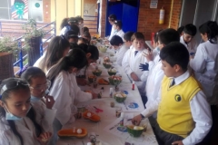 IMG-20190220-WA0018