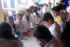 IMG-20190220-WA0020