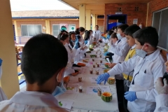 IMG-20190220-WA0042