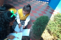 IMG-20190222-WA0019