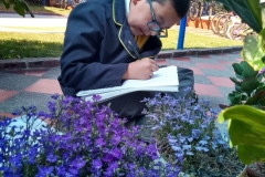 IMG-20190222-WA0020