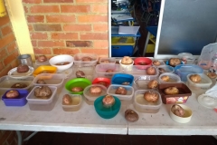 IMG-20190227-WA0030