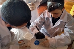 IMG-20190305-WA0032