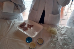 IMG-20190305-WA0036