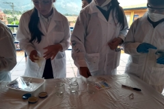 IMG-20190305-WA0037