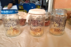 IMG-20190305-WA0046