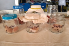IMG-20190305-WA0047