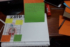 IMG-20190314-WA0019