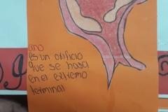 IMG-20190314-WA0073