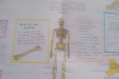 IMG-20190314-WA0118
