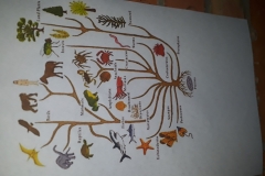 IMG-20190320-WA0031