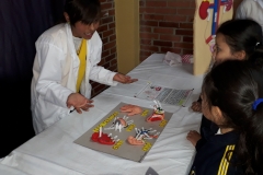 IMG-20190322-WA0111
