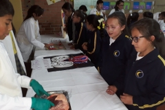 IMG-20190322-WA0147