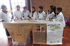 Proyecto Enséñame para Enseñar