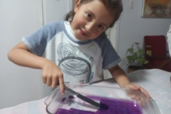 IMG-20190301-WA0007