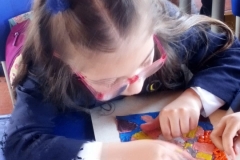IMG-20190212-WA0052