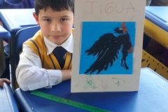 IMG-20190212-WA0053