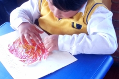 IMG-20190212-WA0060
