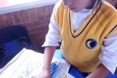 IMG-20190212-WA0067