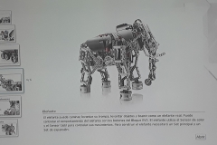 IMG-20190306-WA0019