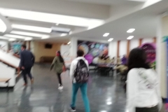 IMG-20190312-WA0009