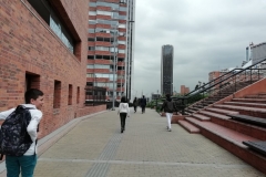 IMG-20190312-WA0013