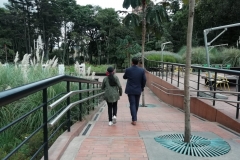 IMG-20190312-WA0017