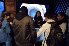 IMG-20190312-WA0031